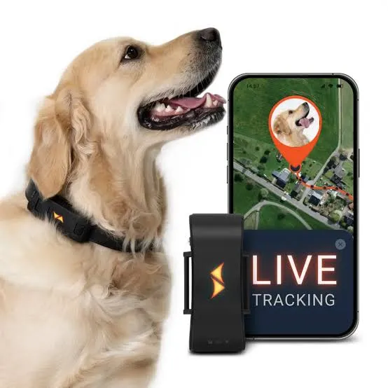 GoSafe Tracker Image 11